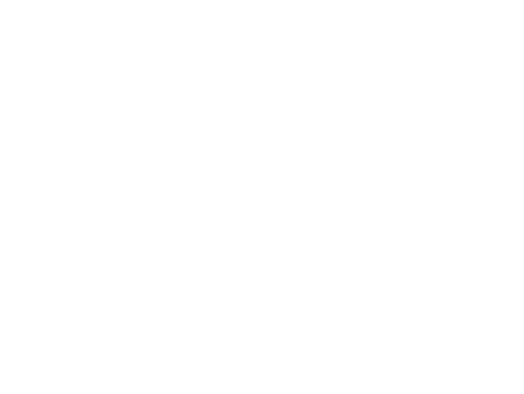 MZ Logo